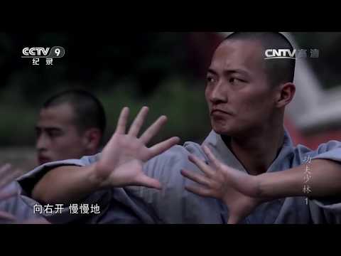 Kung Fu Shaolin 1