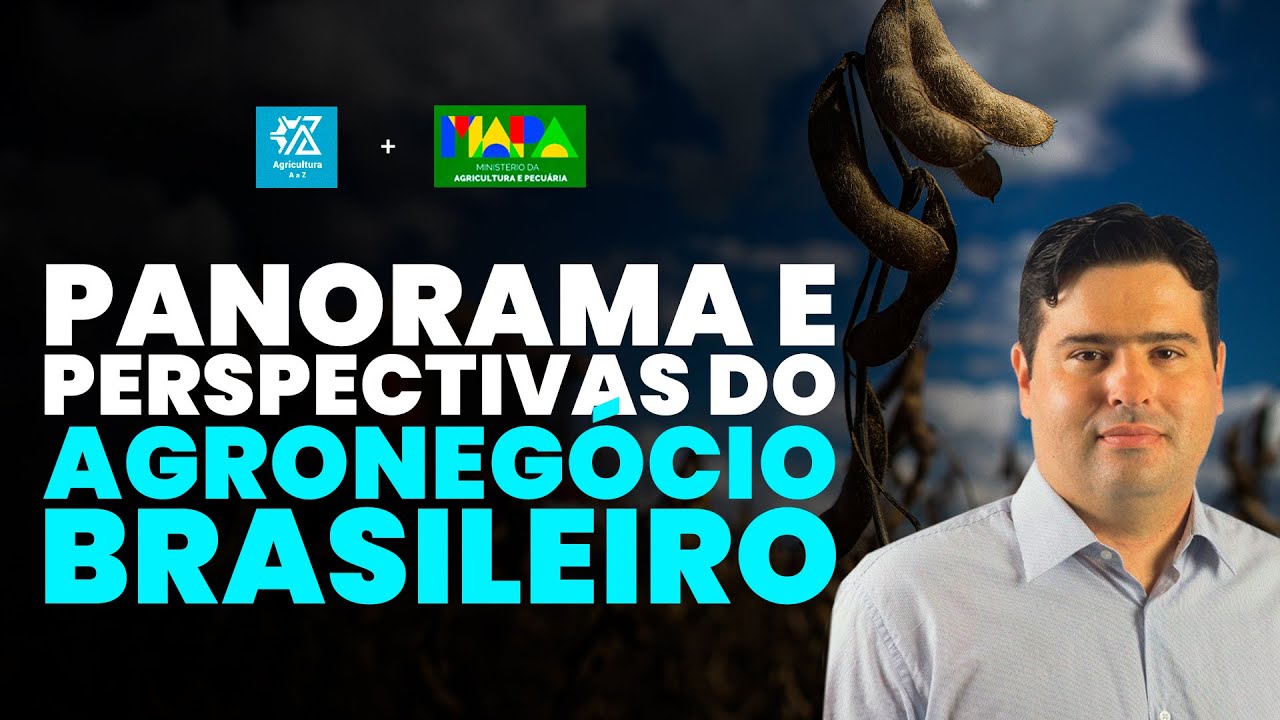 WHAT ARE THE PROSPECTS FOR THE FUTURE OF BRAZILIAN AGRICULTURE?