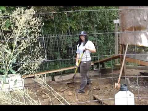 Six Minutes at Kalik Acre