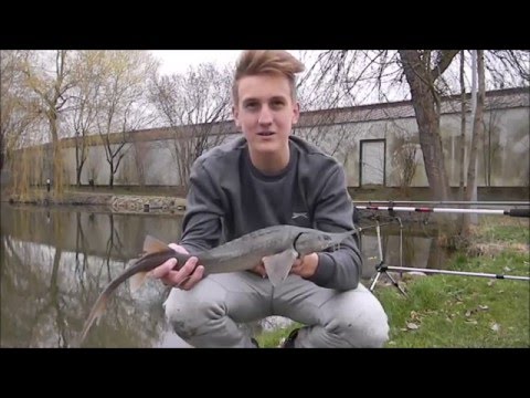 Karpfenangeln im Frühjahr - Saisonstart