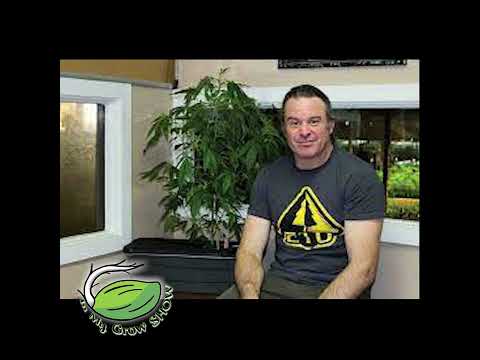 Ep. 168: Kevin Jodrey and the Ganjier program.