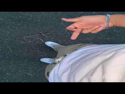 L4M - No Hay Futuro (Preview)