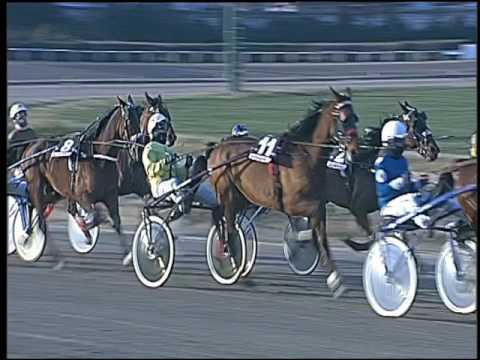 Trotto 27/01/2017 - 2ª corsa