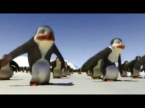 Schiffie & Co   Penguin Dance