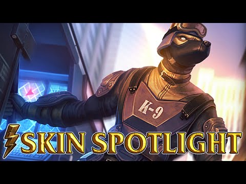 K-9 Anubis Skin Spotlight