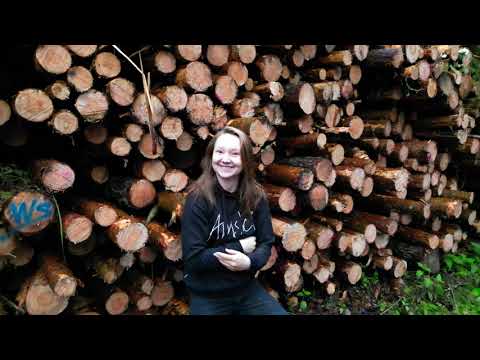 Amskin metsän tarina