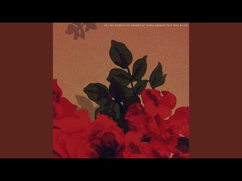 On This Serious Star