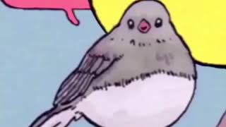 Annoyed bird Super Smash Bros Melee/Brawl