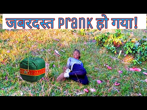 Full Diwali Pranks With Team Mate - So Funny | Mr. Panga