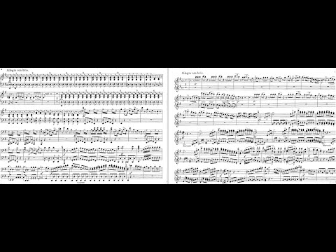 Rossini-Schoenberg - Il barbiere di Siviglia (Overture) - Duo Solot Piano
