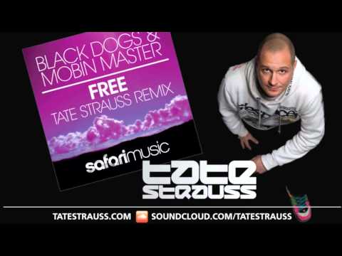 Black Dogs and Mobin Master - Free (Tate Strauss Remix)