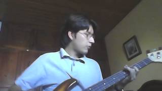 Nude Desintegrating Parachutist Woman (Budgie - Bass Cover)