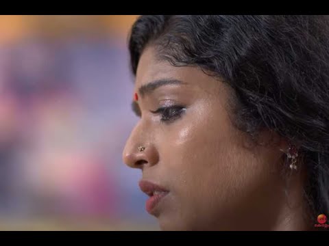 Chembarathi | Indian Popular Malayalam TV Serial Kalyani, Anand, Akhilandeshwari Ep 151 Zee Keralam