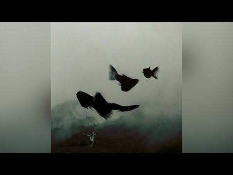 92914 - New One (Audio)