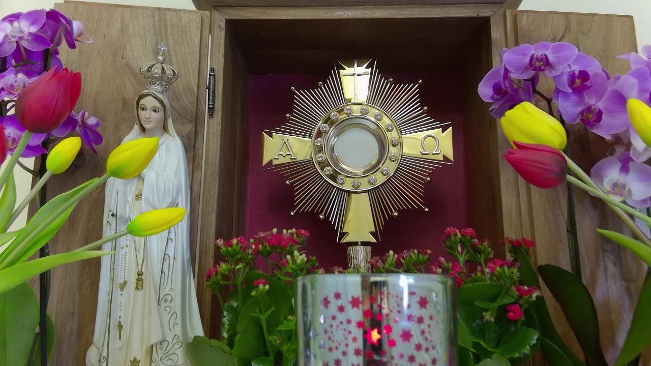 Live-Eucharistic Adoration from 3ltv Vienna, Austria