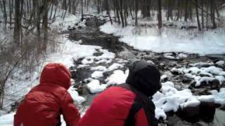 One morning in the snow