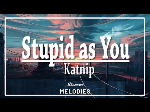 Katnip - Stupid as You | Lyrics 🎵
