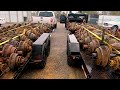 WE HIT THE JUNKYARD 14 BOLT AXLE MOTHERLOAD! 👊 WE HIT THE JUNKYARD 14 BOLT AXLE MOTHERLOAD! 👊