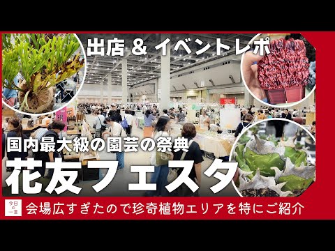 テルタワー リュブヒェン 植物