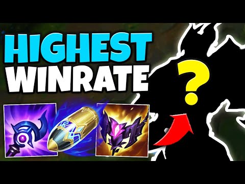 You Won't Believe the NEW Highest Win-Rate Support! (This is Broken)