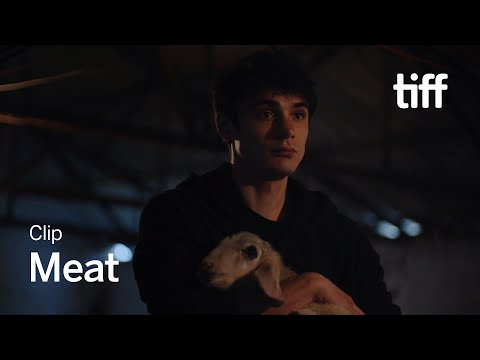 MEAT Clip | TIFF 2024