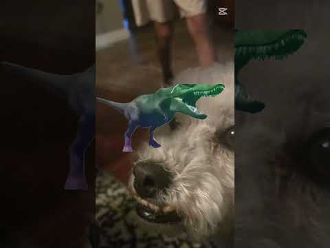 #butifyoucloseyoureyes #footballfans #memes #haveitoldyoulatelythatiloveyou #ronaldofans