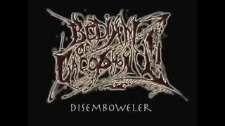 Bedlam Of Cacophony-Disemboweler