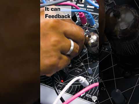 Tube VCA\Saturator Orobas II First Look | Eurorack | AFA