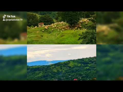 Câteva poze din satul meu Cleja!!!!