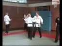 Dju Su Kung Fu  -  Roter Drache Kleve