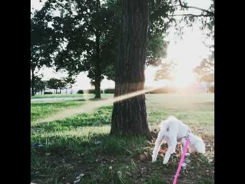 170926 SeoHyun Instagram