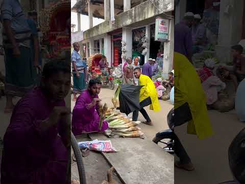 He used an umbrella to steal my kachu! 😂☂️🤫