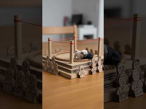 相撲〜Sumo wrestling〜 #pug #パグ #cute #相撲