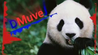 Remix *panda  Dinuliki* :D  hamar Desiigner - Panda by DJ DMuveJ /after effect cs4/fl studio 11