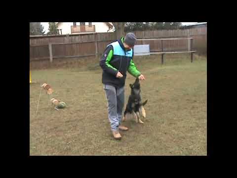 Unique z údolí Úpy -  4 měsíce