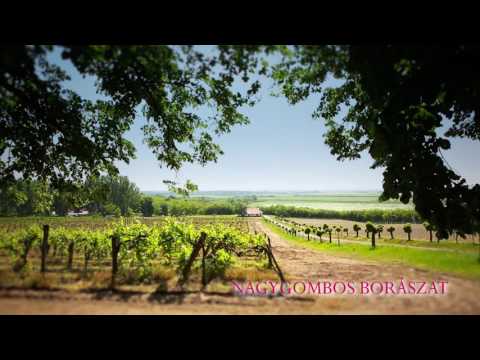 Nagygombos Borászat