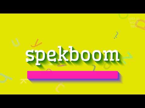 How to say "spekboom"! (High Quality Voices)