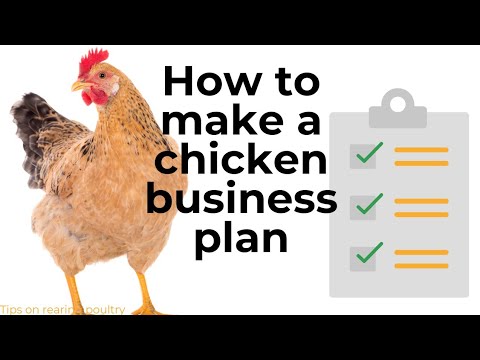 , title : 'How to make a chicken poultry business plan | simple way to make a business plan'