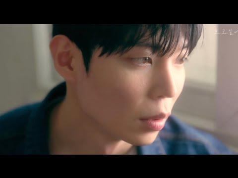 비디오 22