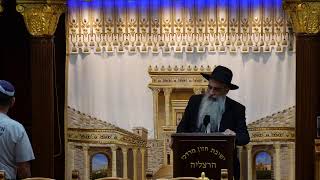 הרב מאיר דוד שמואלי שליט"א - שידור חי יום ד' - פרשת נשא תשפ"ו