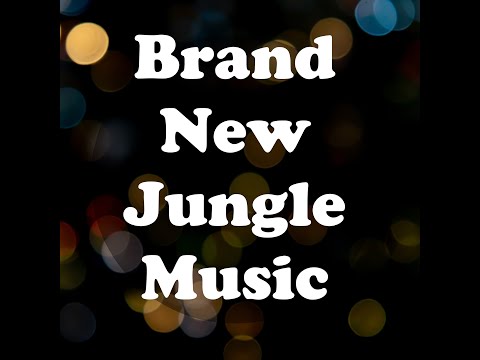Brand New Jungle Drum n Bass Dubious Junglist Mixes Karma Recordings