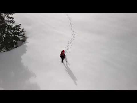 EVVO Snowshoe experiences