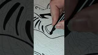Épisode 38 - Contours noirs Les grands classiques Disney T.1 #detente #disney #coloriagesmysteres