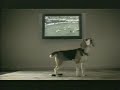 TV Commercial 2006 ESPN2 Philips Only Flat TV With Ambilight Dog Remote