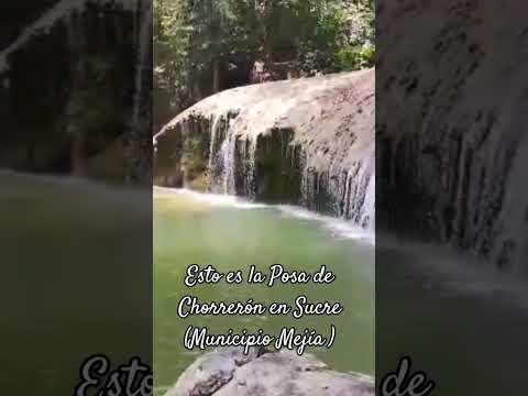 En el municipio Mejía del Estado Sucre tenemos la Posa de Chorrerón, Volveré. #volveré #niche
