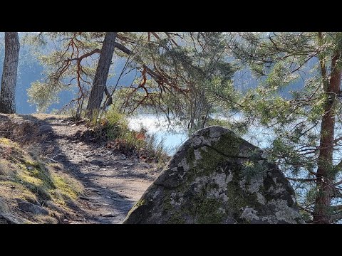 Ep.1 ฤดูใบไม้ผลิ สวีเดน Springtime นกเริ่มออกหากิน #Alingsås