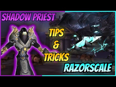Shadow Priest Ulduar Tips and Tricks to 99 Parsing | EP. 2 | Razorscale