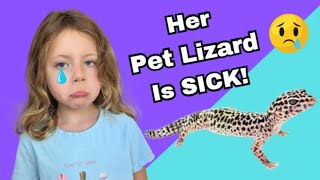 Our Pet Gecko Is Sick