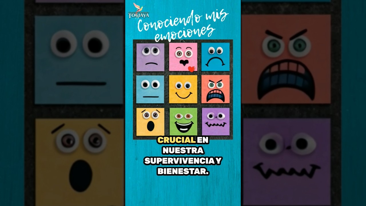 Alicia Castillo Lázaro-13