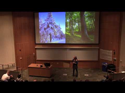 Genevieve Darling - 2018 Three Minute Thesis Competition